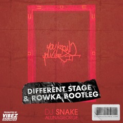 DJ Snake & Aluna George - You Know You Like It (Different Stage & ROWKA Bootleg)