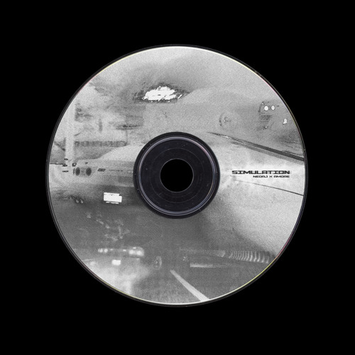 SIMULATION (NEDAJ + AMORE)