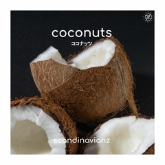 Scandinavianz - Coconuts (Free download)