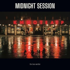 Midnight Walk (lofi mix)