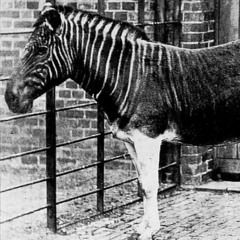 T3T THE 3NCRYPTED TRUTH