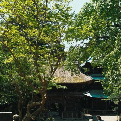 帰路