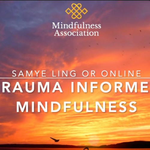 Trauma Informed Mindfulness Practice