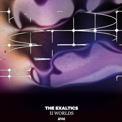 The Exaltics - Skyway Chase [CWCS014LP]