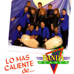 Sopa de Caracol