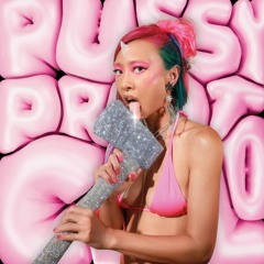 P*SSY PROTOCOL (Nino Rivera Remix)