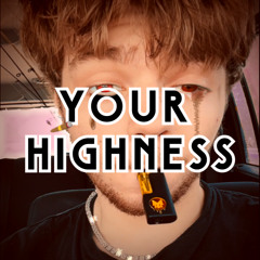 Your Highness (hide it)