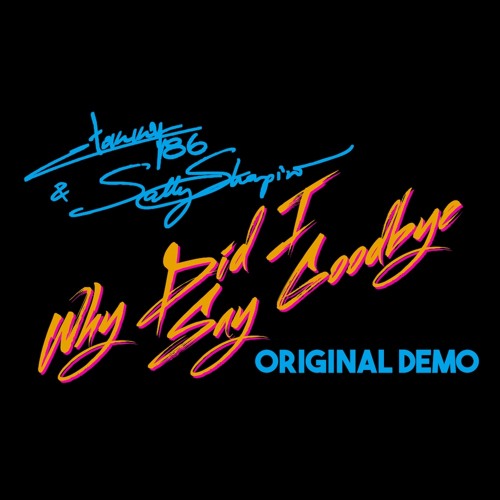 Why Did I Say Goodbye (Original 2013 Demo)