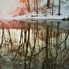 Justin Scott & the Working Class