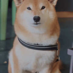 Zen af bruther