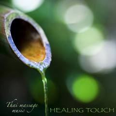 Healing Hands (Flute Music)