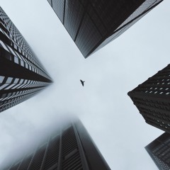 FLY HIGH