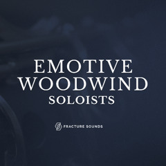 Follow the Wind - Nathan Einhorn - Emotive Woodwind Soloists