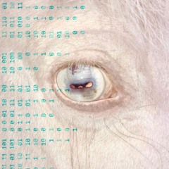 ATAQUE DE PANICO - SNAKE