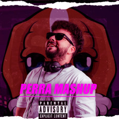 J.Arroyo - Perra ( Mashup )