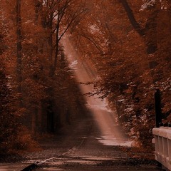 i don't wanna dream alone