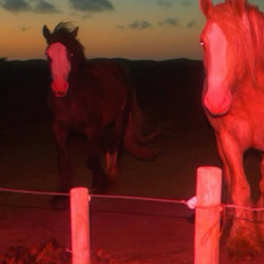 right step (prod. ashotial)