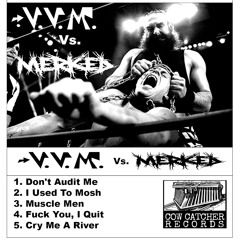 Fuck You, I Quit by VVM (2024)