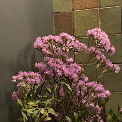 строчка из многоточий