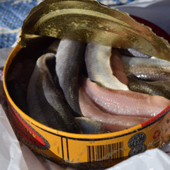 Surströmming’s Stink