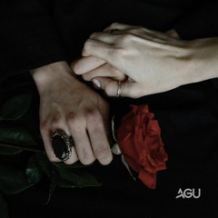 AGU - Over US