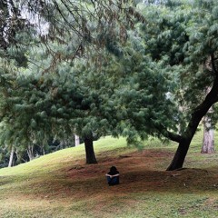 Mr. Magia-beat Tumordeavuela007