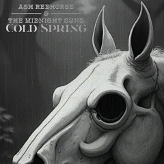 Cold Spring (slowed + reverb)
