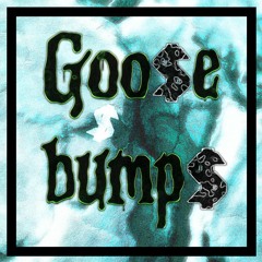 GOOSE BUMPS ( SOUNDS NASTE REMIX )