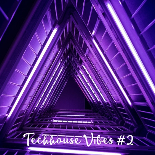 Techhouse Vibes #02