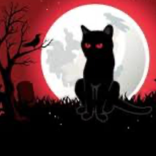 Full Moon. Ledge House - 11-1-25