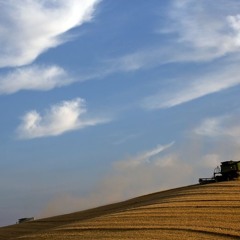 Country Music and Cold Beer Saturday Night