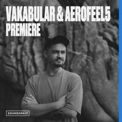 Premiere: Vakabular & Aerofeel5 - Magnetic Spectrum [Heinz Music]