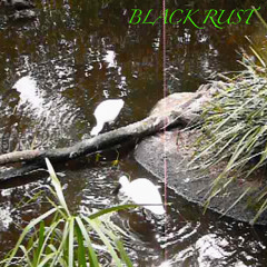 BLACK RUST