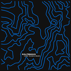 Zaltsman | Think Too Much [TR-004]