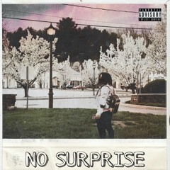 No Surprise (feat. Dayaftermolly)