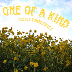One Of A Kind