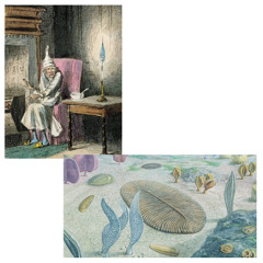 corset (prod. me & sensu)