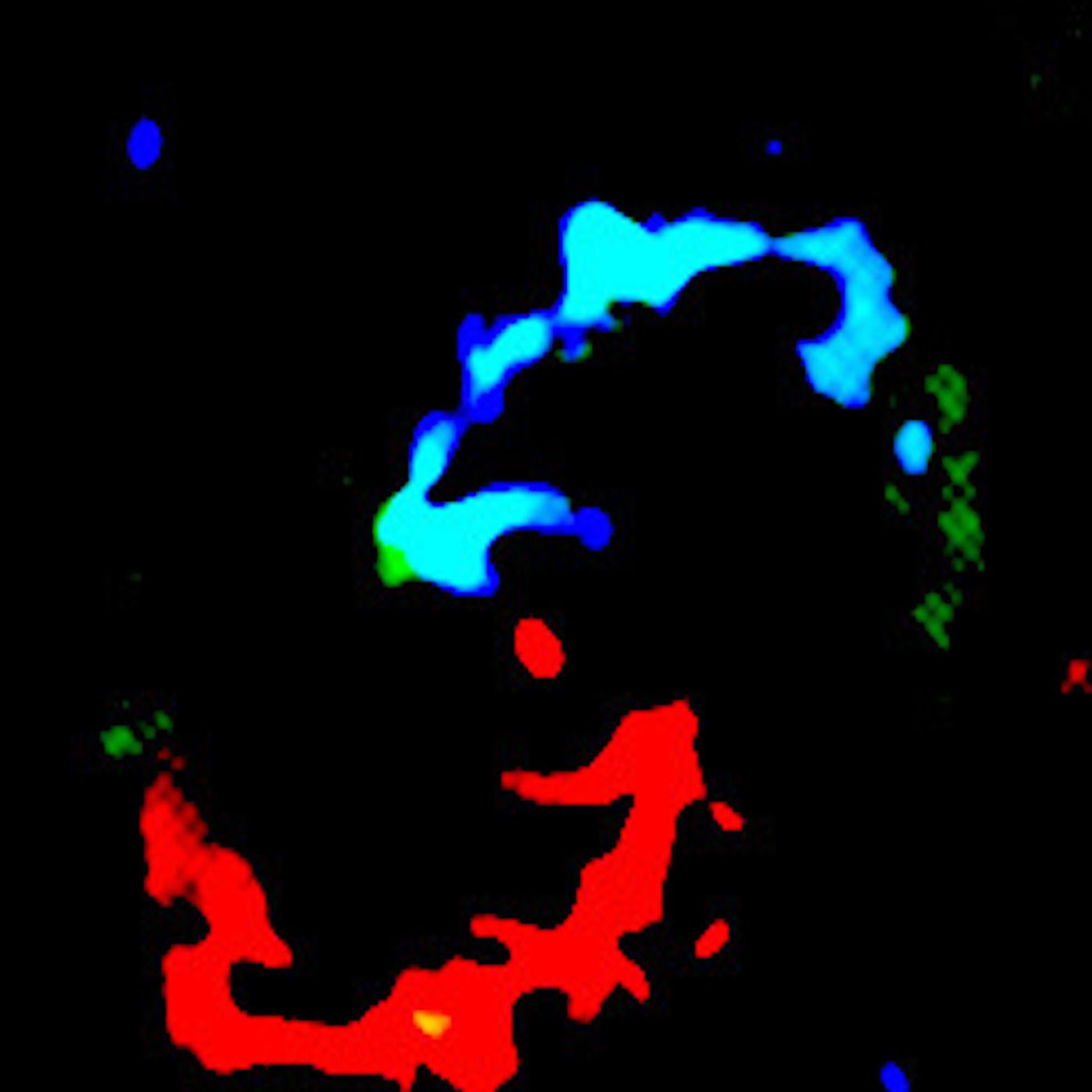 Algo Rhythms - Loop's Qool episode artwork