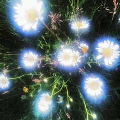 Once More (p. drugsmoneycanbuy)