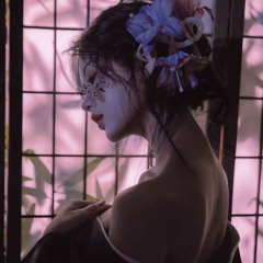 Lan Đình Tự | 兰亭序 - DJ啊彭Remix