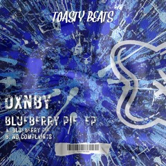 [TOASTBC003] / DXNBY - Blueberry Pie EP