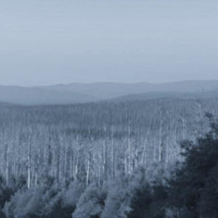 Roger the Shruber [Aethermelt]