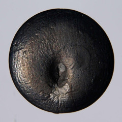 Selen: Ein guter Grund - mit Dr. Stefan Hügel