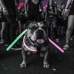 electronic rock rave