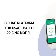 Billing Platform For Usage Based Pricing Model