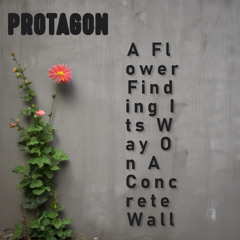 A Flower Finding Its Way On A Concrete Wall