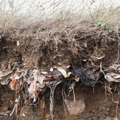 Landfill Audio Report