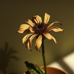 empty-phrases-(-summer-)