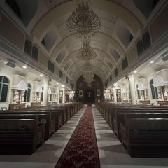 تسبحه favorites🤍