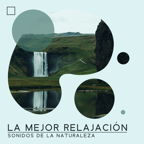 Stream Relajación Tropical (feat. Zona Música Relaxante) by Academia de  Sonidos de la Naturaleza para Dormir | Listen online for free on SoundCloud